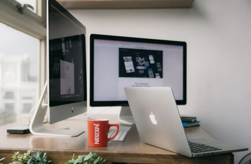 One Room, Fewer Doors: The Case for a Single-Project Portfolio
